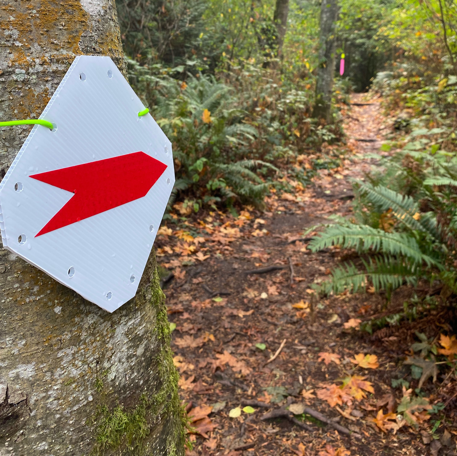 RouteSigns: 30+ Reusable Sign Options for Day & Night Events