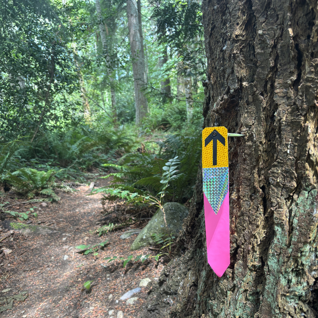 Route Runner Color RouteArrows: Easily Give Clear & Colorful Directions – RouteArrows.com