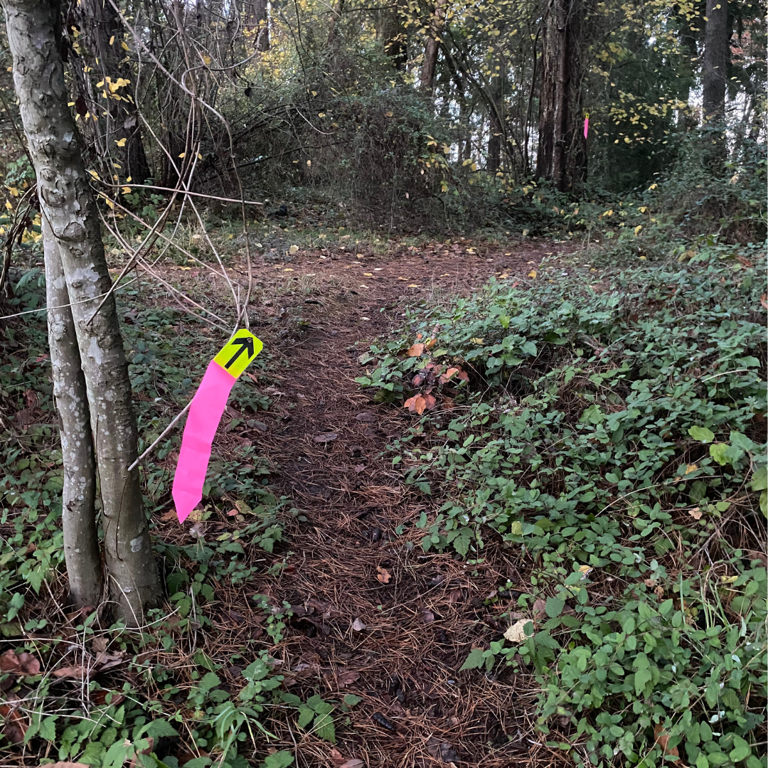 TrailFLECTIV Ribbons: Eye-Catching, Easy, Reflective Trail Markers